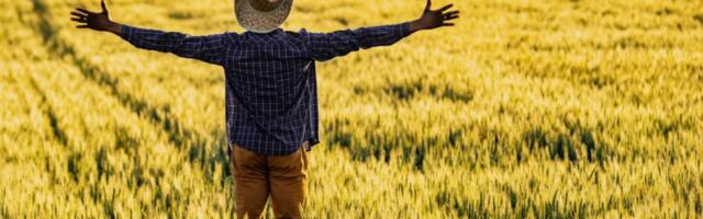 Quantum2 Investigation