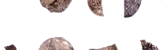 HINDAMATU LEID | Hiiumaa mündiaarde hulgast avastati üliharuldane denaar