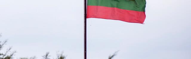 Ebaharilikud viisid tõid Leedu majandusse edu. “Seal mõeldakse mastaapselt”