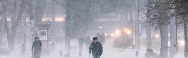 Tormijooks lumepuhuritele ja isehakanud lumekoristajad. “Valge kuld” lõi ärid õitsele