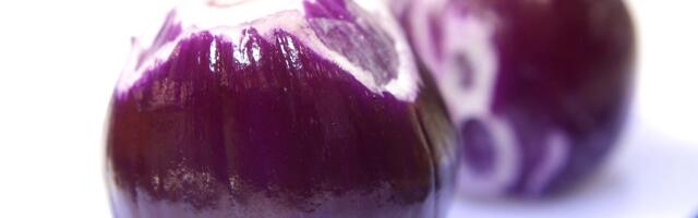 Soome teadlaste avastus_ sibulakoor võib muuta päikesepaneelid vastupidavamaks