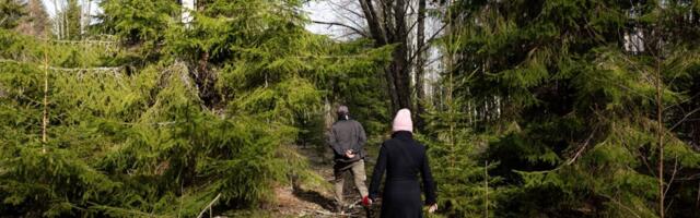 Ajakirjanik: metsatehingud näitavad, et eraisikutel on hea aeg osta