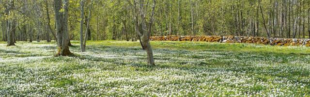 Keskkonnateadlikkus aitab rikkumisi vähendada
