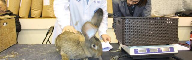 Selgusid Järva valla aasta tegu 2025 nominendid