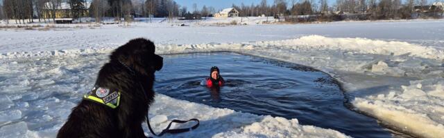 Veepäästekoerad annavad oma suure panuse ka ennetustöösse
