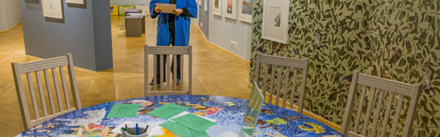 Iloni Imedemaa tähistab näitusega sünnipäeva