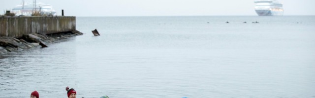 Talisuplemishullus on eestlasi tabanud karmimalt kui kunagi varem