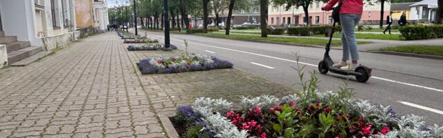 Вандализм в Нарве снова поднимает голову: воруют цветы, ломают скамейки