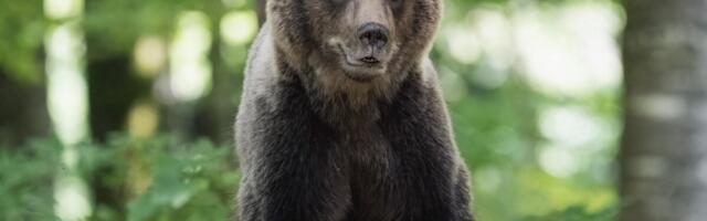 Kohus peatas karujahi 29. augustini