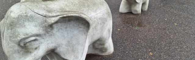 REITINGUD: Eesti 200 toetus madalaim alates 2019. aastast