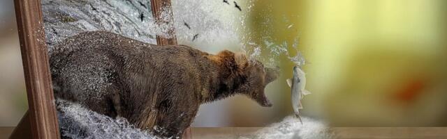 Personalitöötajate palgaraport: tööhõive näitab langust, palgalõhe ilmutab end ootamatus kohas