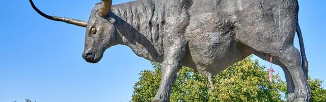 Vaata, mis läks täppi ja mis täiesti mööda!?