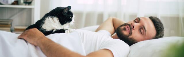 Ehmatav põhjus, miks hotellikülastaja kurdiks jäi