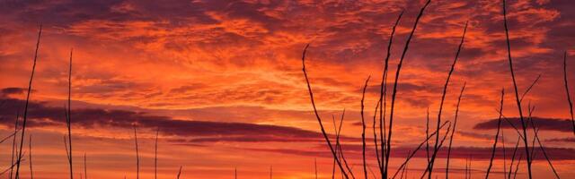 Jelena Melnikova NÄDALA FOTO