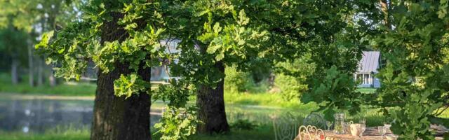 Avatud triiphoonete ja aedade päev!