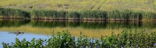 Räägi kaasa: kujundame koos Eesti vee tulevikku