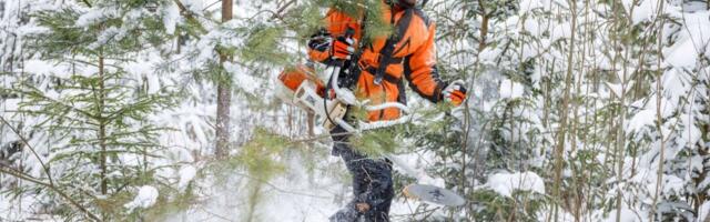 RMK suurendab metsakasvatusteenuse tellimust erasektorist ja käivitab ettevõtlusakadeemia
