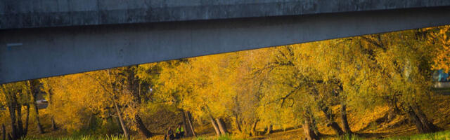 Tartu algatab Ranna tee sõudespordibaasi arendamiseks detailplaneeringu