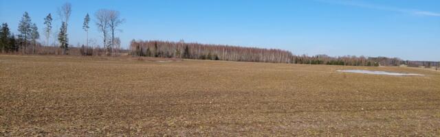 MTA asub saatma maamaksu teavitusi