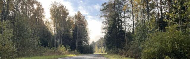 KORRUPTSIOON PUUDUB | Politsei ei nõustunud Viidiku süüdistustega