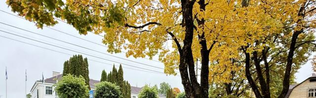 Türi Koolipargis toimus esimene haljastuse teemaline õppekäik