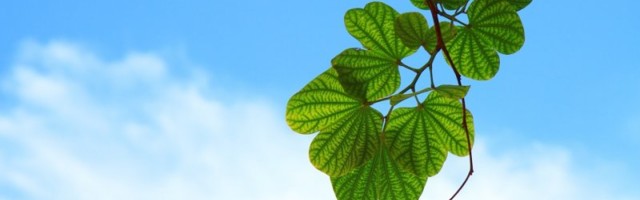 Riigihalduse minister tutvustas Ida-Viru õiglase ülemineku fondi jaotuskava