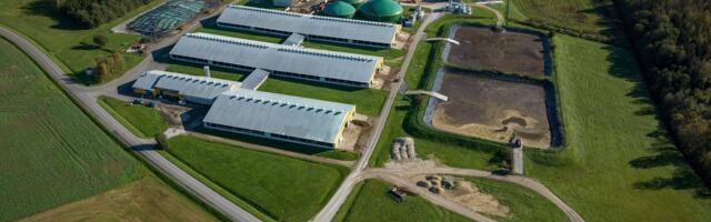 Infortar ostab Estonia põllumajanduskontserni