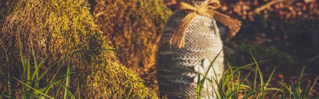 Kevadpühade meeleolu Valga Säde parki!