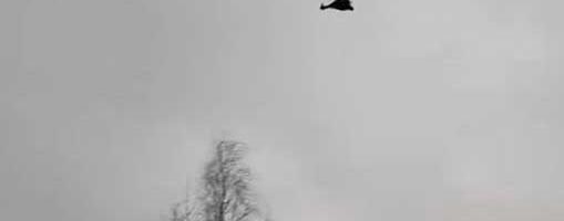 В Финляндии в воскресенье упали два украинских беспилотника