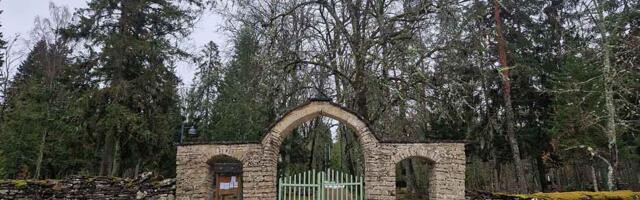 Kuu­sa­lu kal­mis­tul ha­ka­tak­se kui­va­nud puid lan­ge­ta­ma