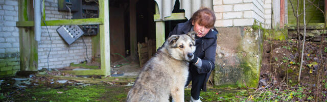 Päästjad tõid šahtist välja sinna kukkunud koera