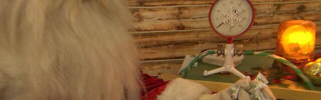 Reporter: Viimsis peeti jõulustiilis perepäeva! Porile vaatamata oli kohal isegi Jõuluvana