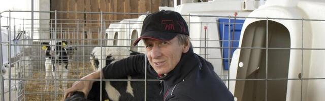 Talunik kimbatuses: piima hind on nii väike, et pank keeldub laenu andmast