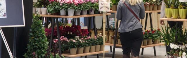 Pankrotis Jardini lillepoe vara läks oksjonile