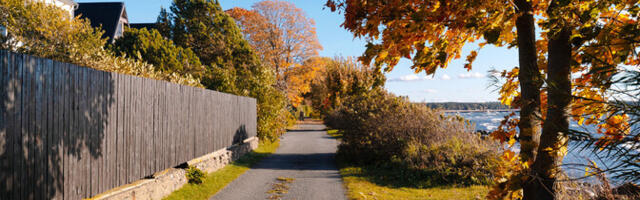 В воскресенье возможны туман и моросящий дождь