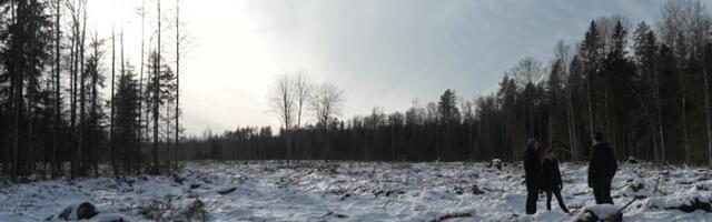 Aegunud volikiri ja näpuviga: kuidas aktivisti mets poole hinnaga maha võeti