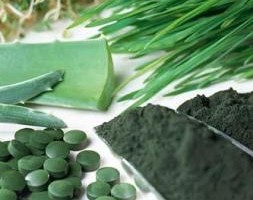 Põnevad uurimistulemused maailma kõige kuulsama “supertoidu” kohta