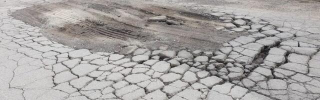 LUGEJA FOTO: teeauk Tammneemes hüüab parandajate järel