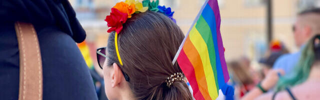 В Литве запрет на распространение информации о ЛГБТ-семьях признали противоречащим Конституции