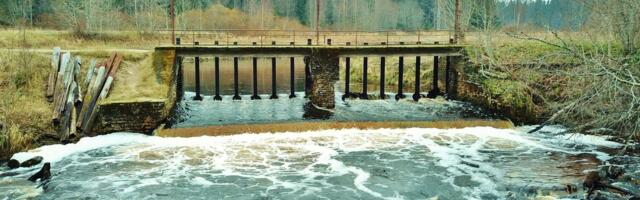 Aastaid kestnud kohtusaaga sai läbi: RMK lammutab kalade liikumist takistanud Kotka paisu