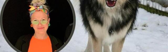 Varjupaikade MTÜ: Keiti Vilms rikkus koera tänavale jättes lepingut