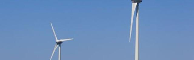 Üksiktuulik Anija vallas?