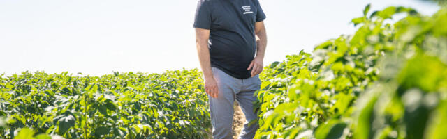 Arvo Aller: arusaamatu on põllumajandusluministri vaikimine