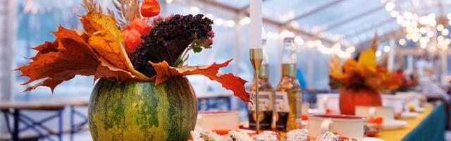 Pika Laua Piknikul nauditi ooperihelisid