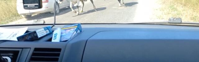 Suvereporteri konkursi «AUTOSUVI» 2000-eurose kütusepaketi pärast võistleb 645 inimest