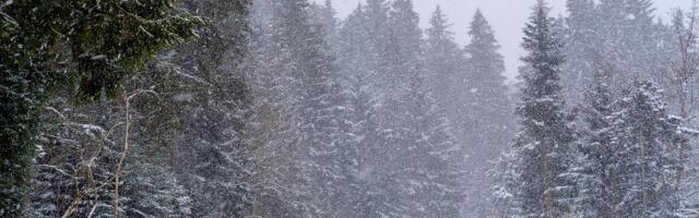 Libeduseoht on vga suur!