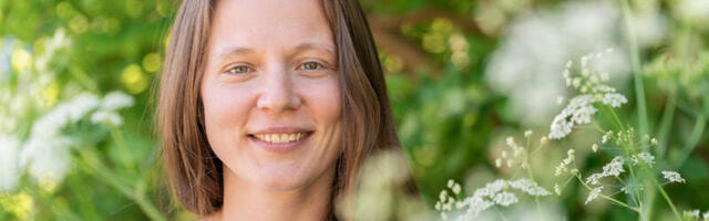 Mis loom on lõkketa jaanipäev