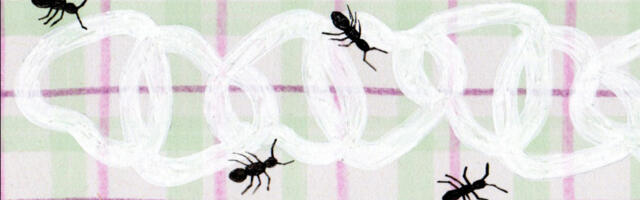 Luule: Berit Petolai