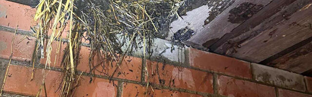 Põlva vallas põles saun