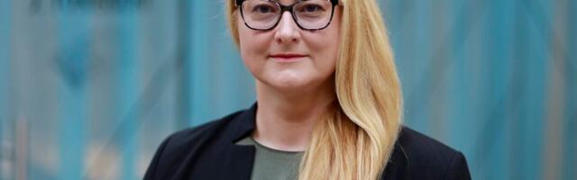 Miks partneri tehtud üldisest AI-riskianalüüsist ettevõttele ei piisa?